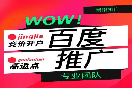 案例解读：百度推广月费投资回报
